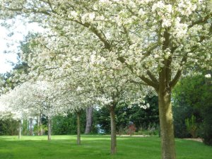 22471_1095148315894_8179834_n