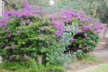 27 octobre Kibboutz de Mashabe Sade (13)