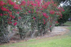 27 octobre Kibboutz de Mashabe Sade (14)