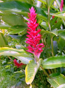 Théo Gunner DSC02082