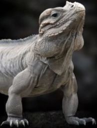 f0c14c76943e25e8d3ed8facfba13cb6